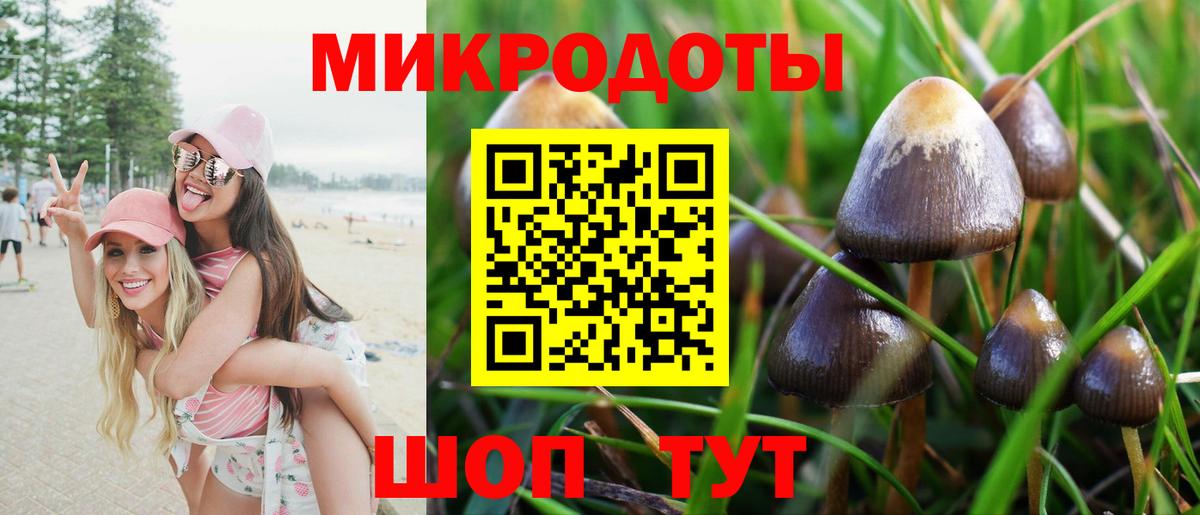 Кохма  Галлюциногенные грибы прущие грибы  Вход с VPN 
